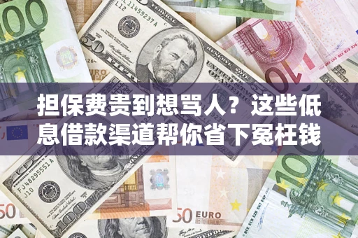 北京担保费贵到想骂人？这些低息借款渠道帮你省下冤枉钱