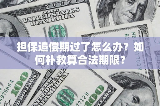 北京担保追偿期过了怎么办？如何补救算合法期限？