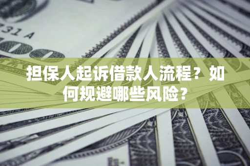北京担保人起诉借款人流程？如何规避哪些风险？