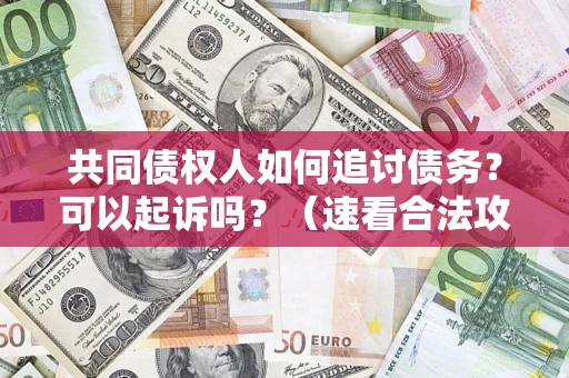 北京共同债权人如何追讨债务？可以起诉吗？（速看合法攻略）