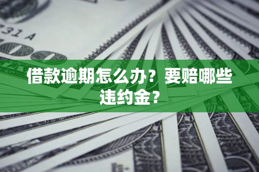 北京借款逾期怎么办？要赔哪些违约金？