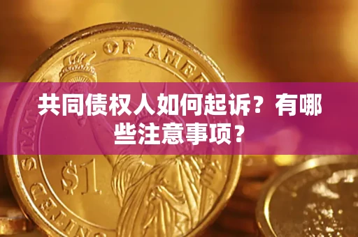 北京共同债权人如何起诉？有哪些注意事项？